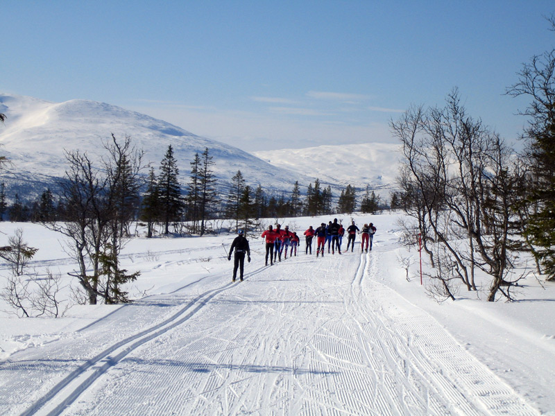 Last Chance For Spring Sweden Trip!