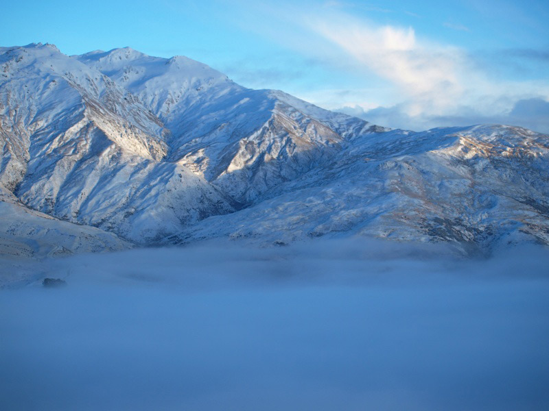 Report from New Zealand, Part 2