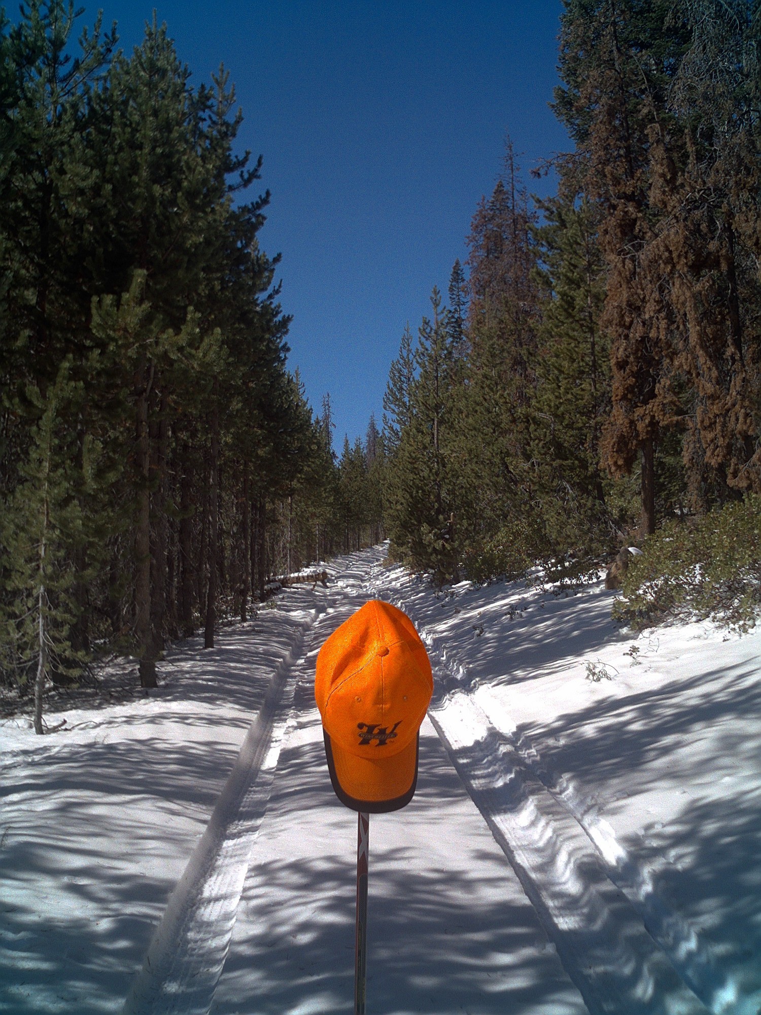 Bend Nordic Team Takes Advantage of Early Snow