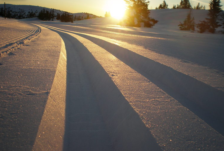 First World Cup Moved to Sjusjøen (Updated)