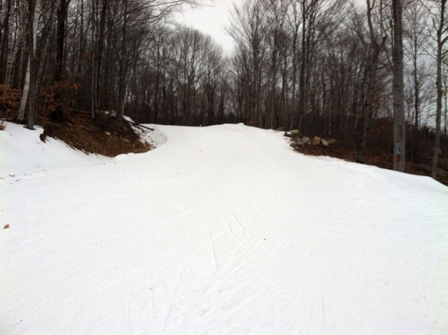 U.S. Cross Country Championships: 10/15 k Freestyle Preview and Predictions