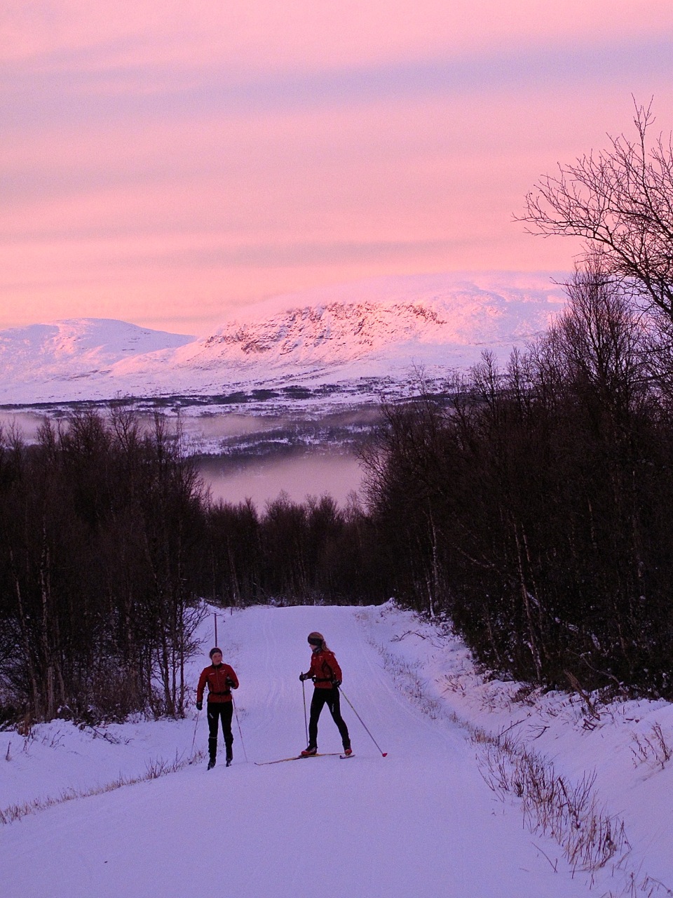 Finding Serenity in Bruksvallarna: A Snow-Seeking Citizen Skier Amongst the National Teams