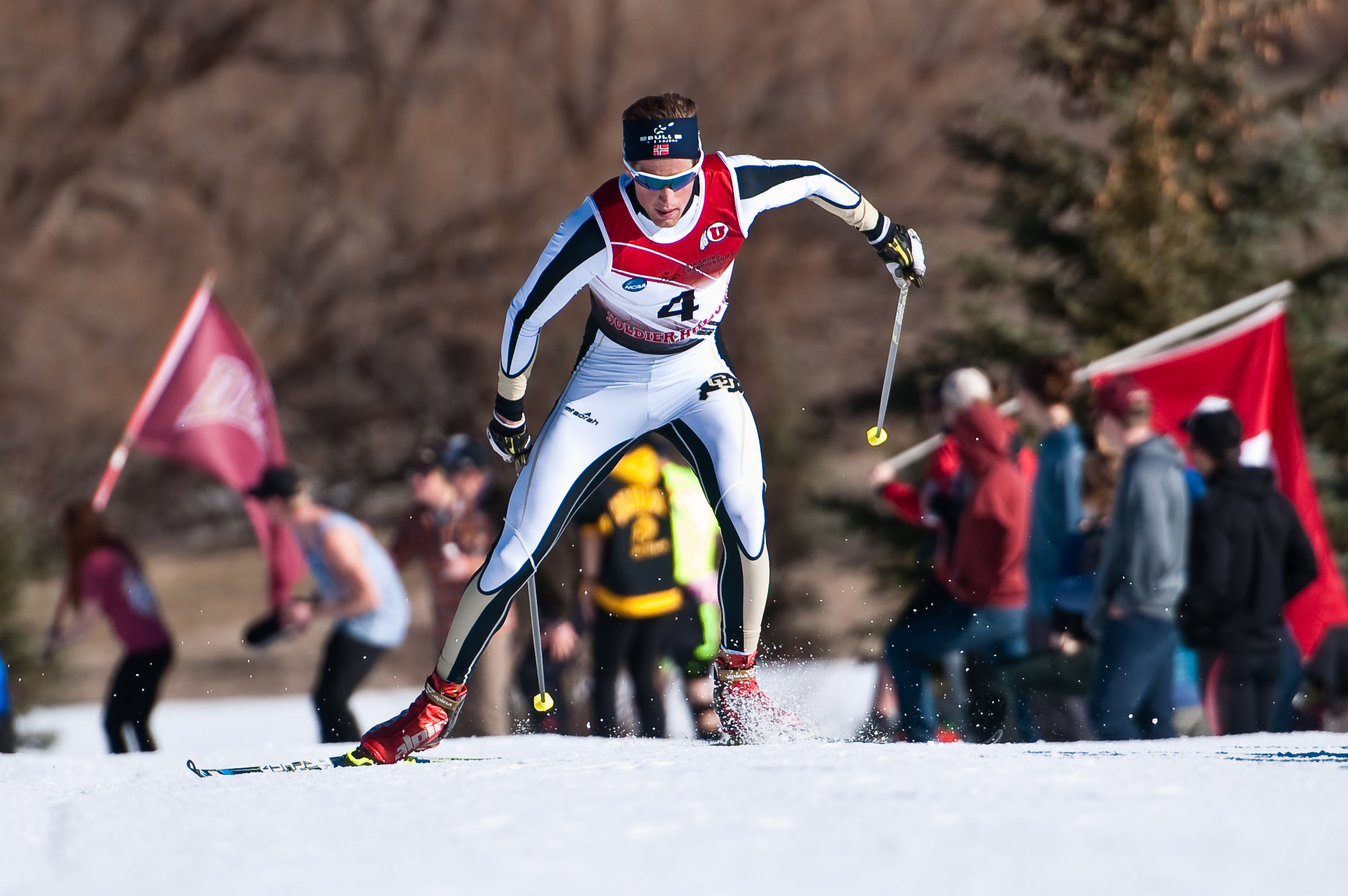 Denver Wins 22nd NCAA Championship; Strøm and Severrus Claim Individual Titles