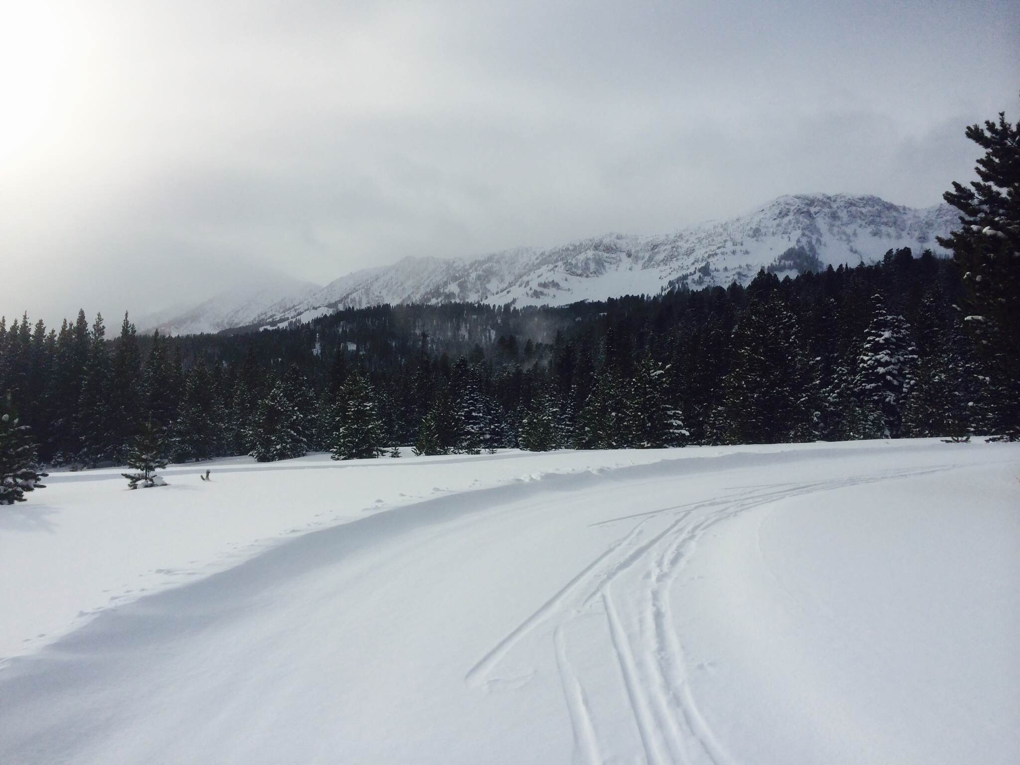 Common Training Mistakes: Exposed at West Yellowstone!