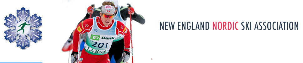 NENSA Seeks High Performance Director