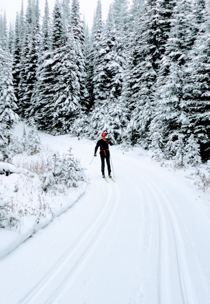 Early Snow in Canada, Call for Submissions