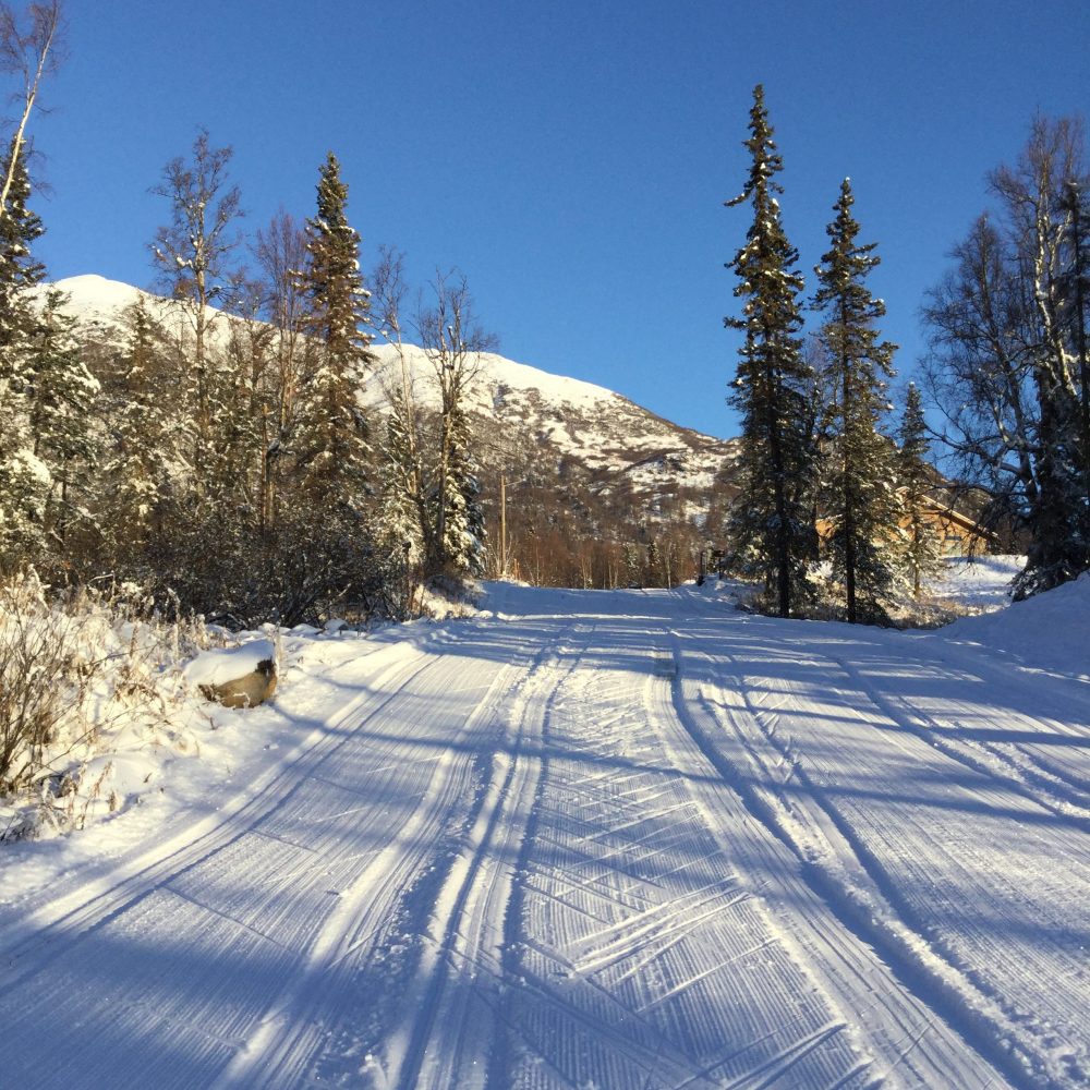 Part of the final climb leading back up to the stadium on the comp loop, seen in this file photo view from Government Peak Recreation Area, Palmer, Alaska, November 1, 2018. (photo: Gavin Kentch)