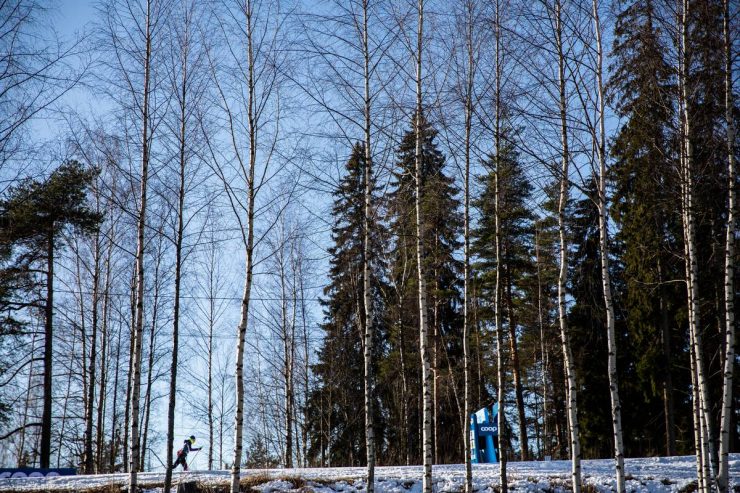 The Devon Kershaw Show: See the Forest for the Trees – An Eye on FIS