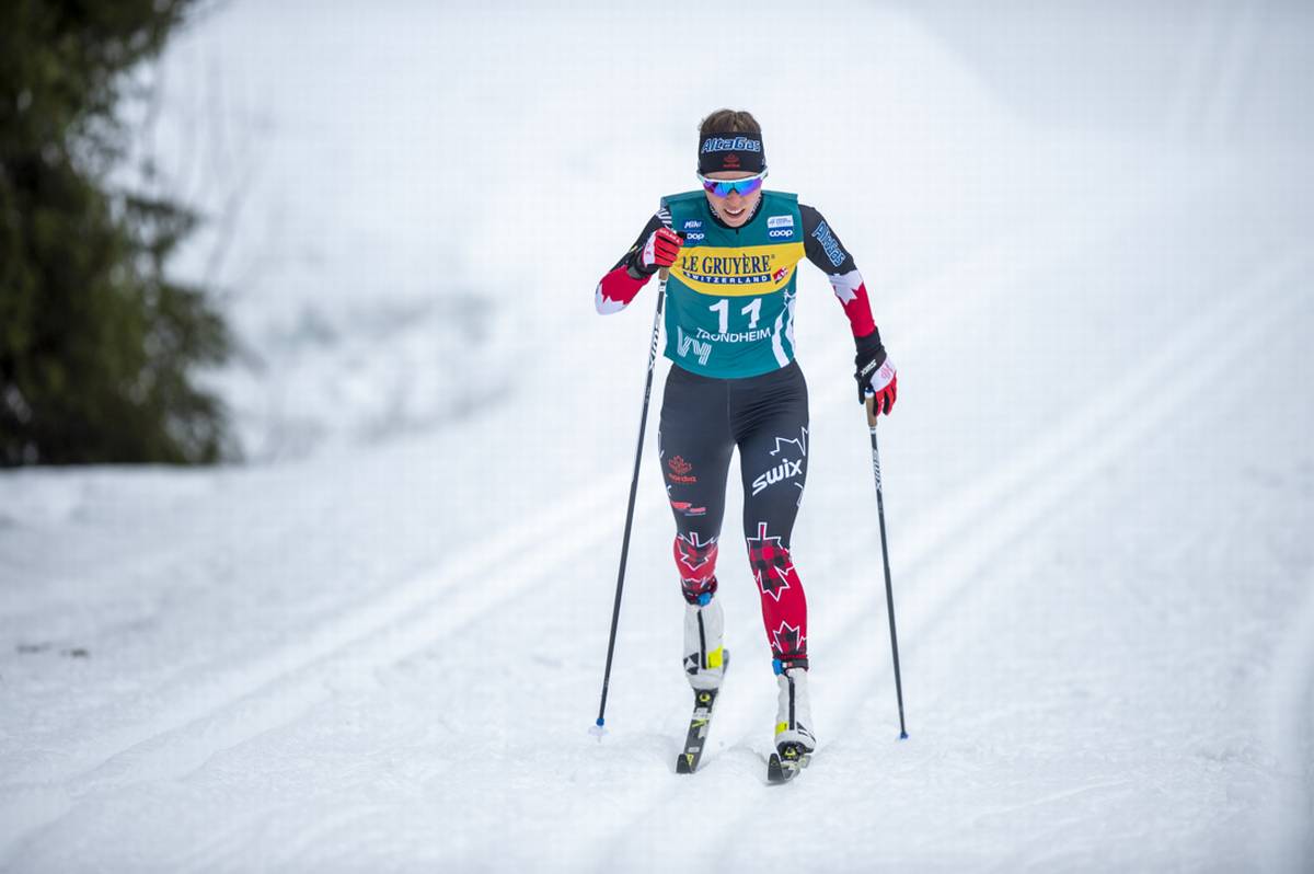 FIS Cross-Country Committee Sets Schedule and Extends Maternity Protection Status