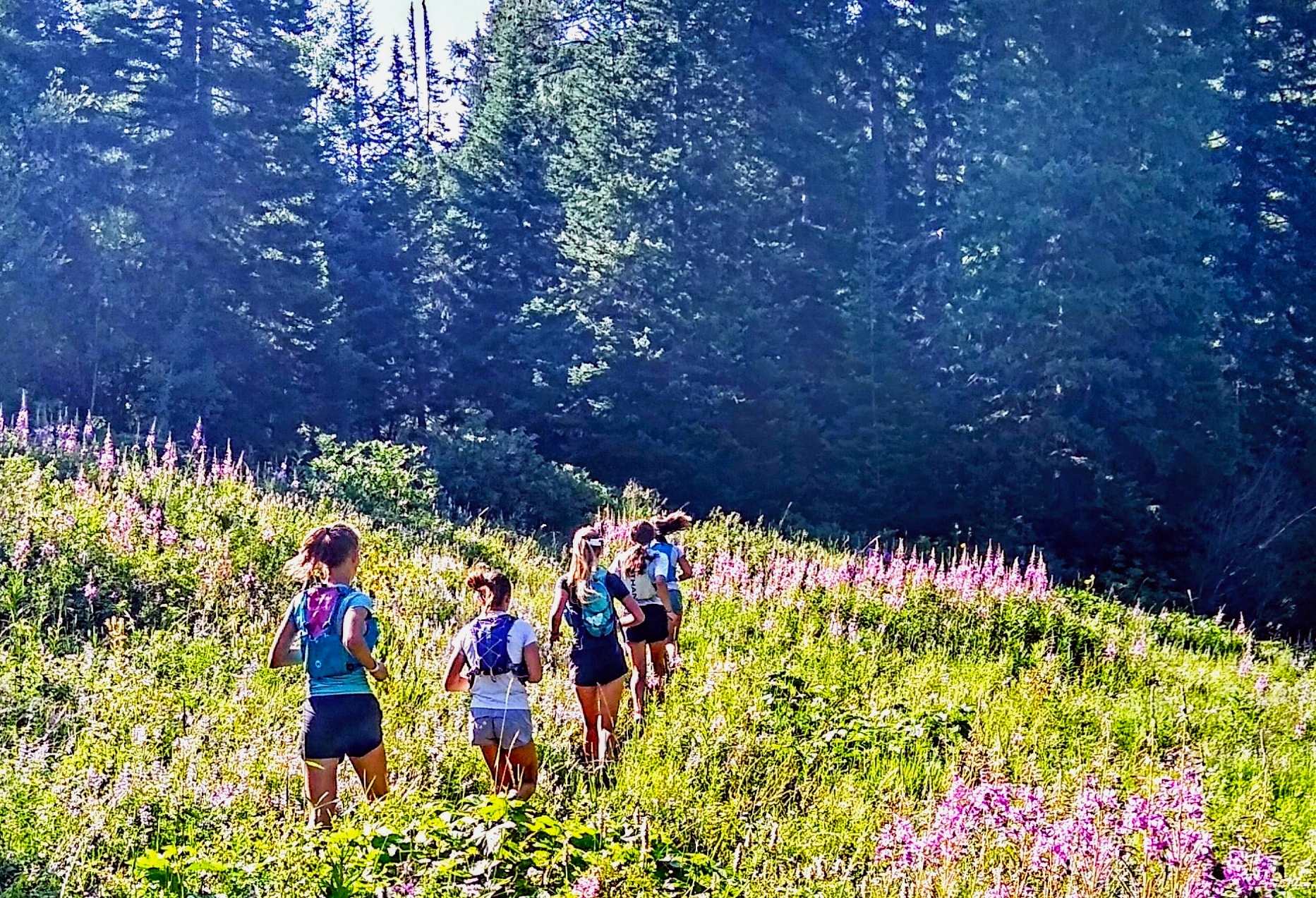 SSWSC Seeks Cross-Country Program Director