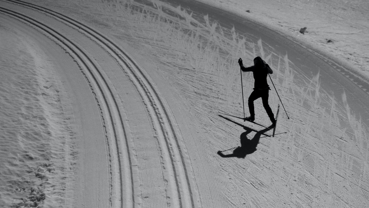 Year-Round Fitness for Cross-Country Skiers: Why Variety Matters