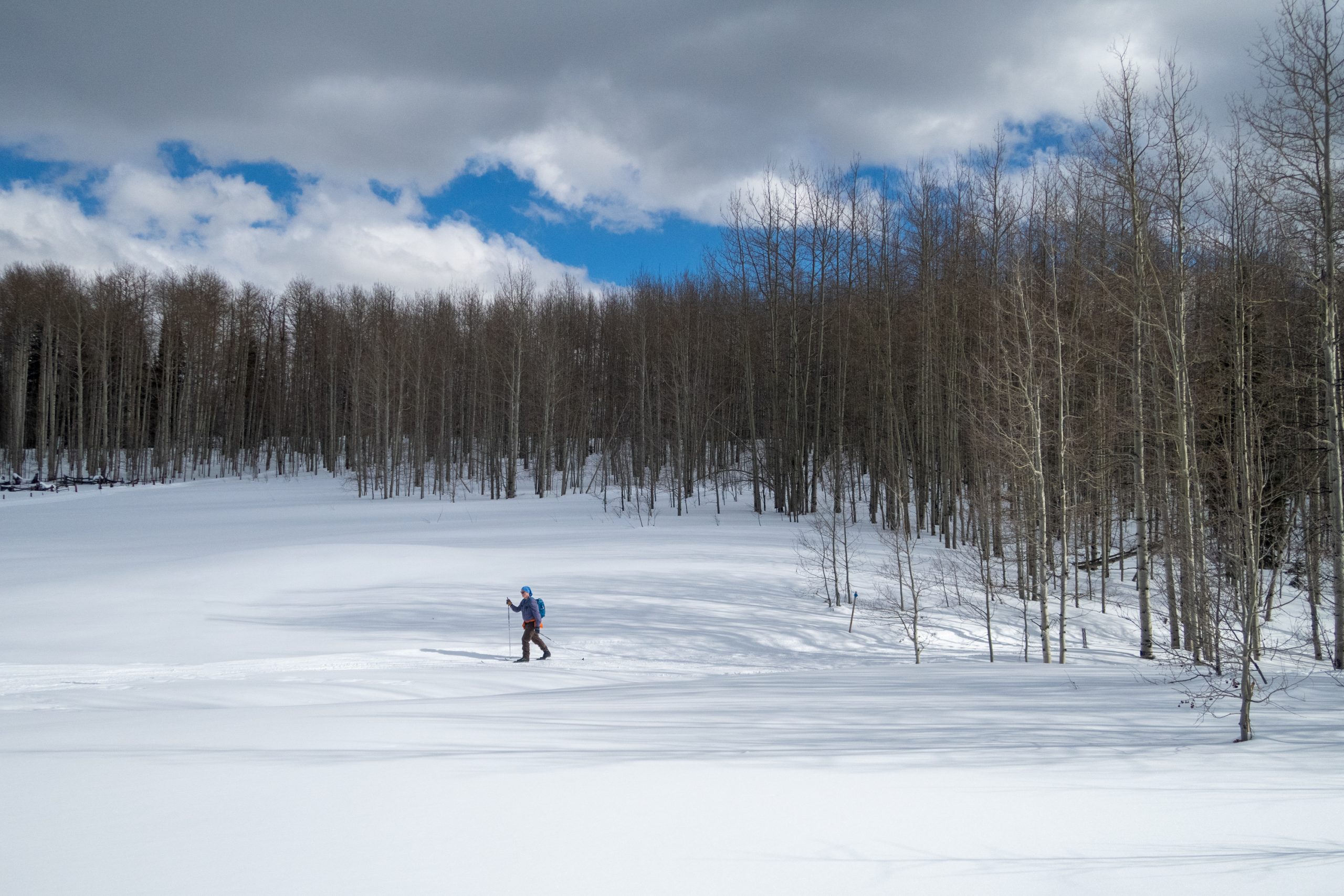 Elevation, and a Season Not Yet Gone