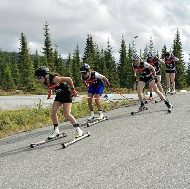 A line of rollerskiers skating along a paved road lined with spruce trees