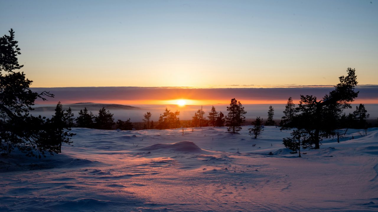 The Road to Ruka: A Sunset Bus Ride into the World Cup Winter