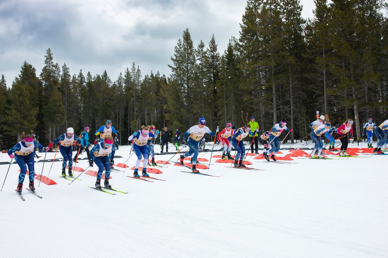 A pack of cross-country ski racers in bibs pushes off the start line in a stadium lined with pine trees