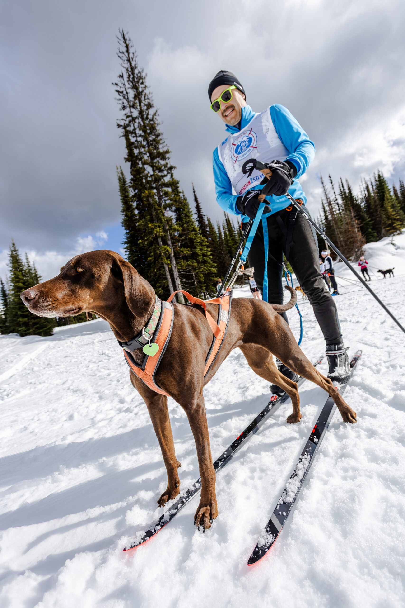 The Pull of Winter: A Field Guide to Skijoring