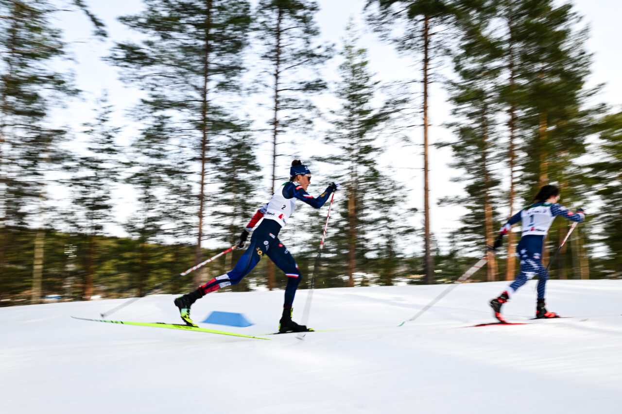 Two classic skiers striding through a stand of tall pines, blurred by the camera's pan