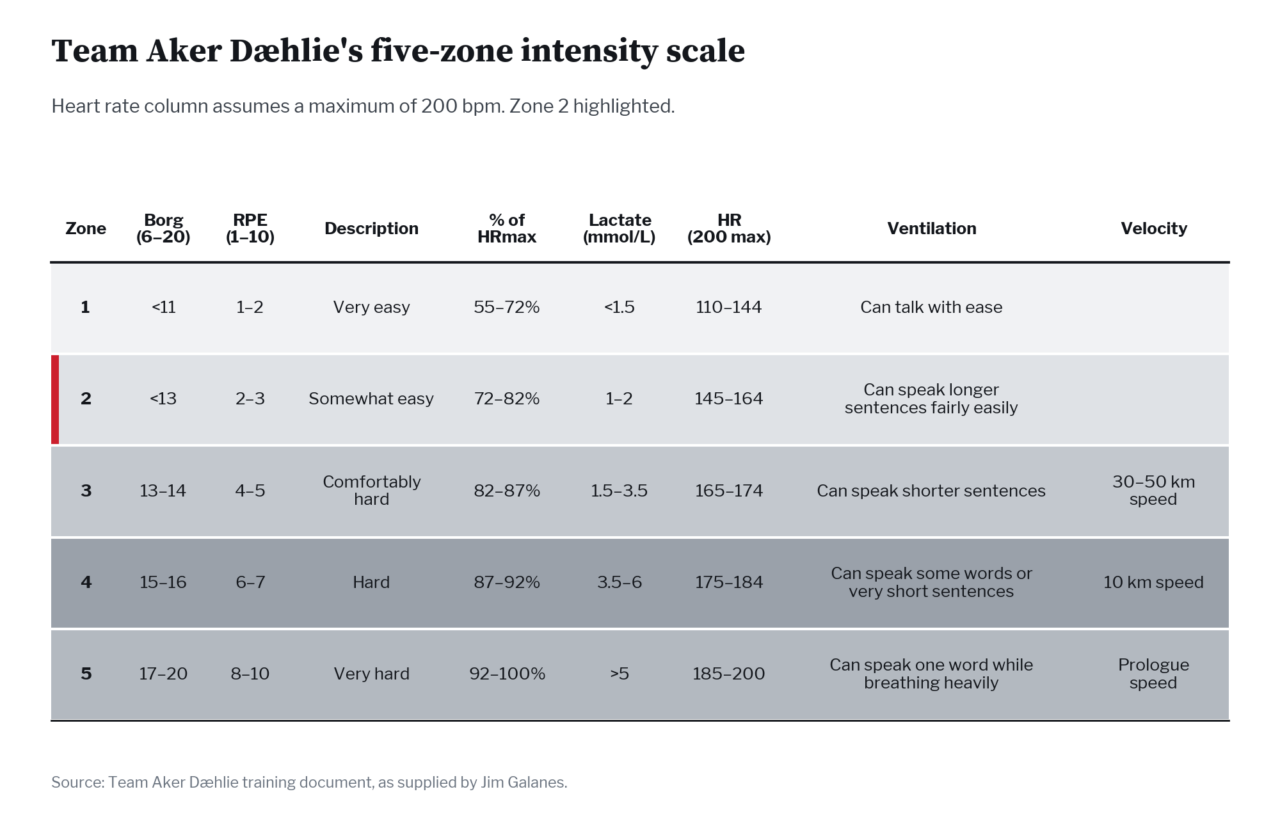 Table of five training intensity zones with Borg scale, RPE, percent of maximum heart rate, lactate, heart rate, breathing and speed for each
