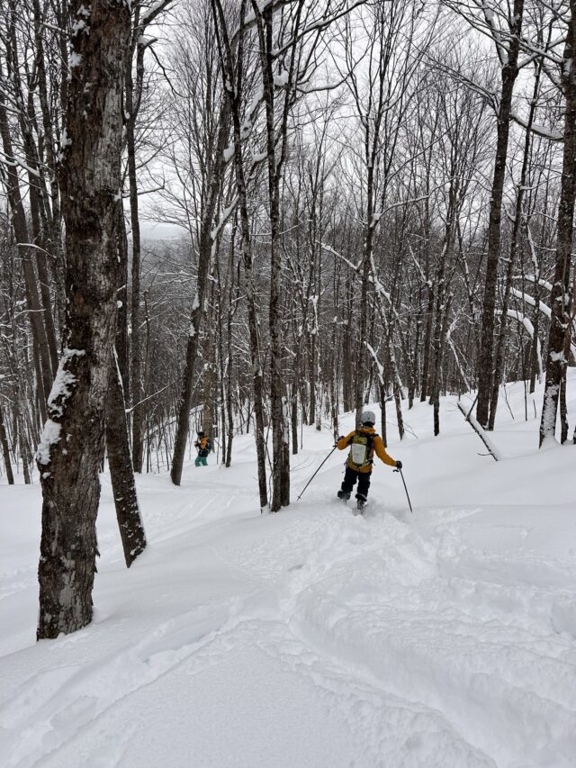 A lone cross-country skier on a groomed 